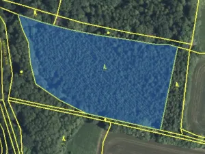 Prodej lesa, Lánov - Horní Lánov, 15278 m2