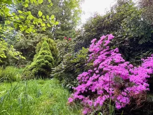 Prodej chaty, Běstvina, 70 m2