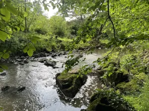 Prodej chaty, Běstvina, 70 m2
