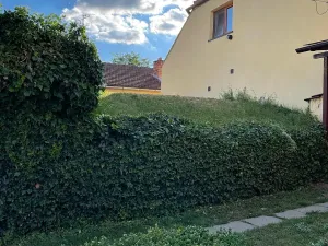 Prodej rodinného domu, Rakvice, Luční, 220 m2