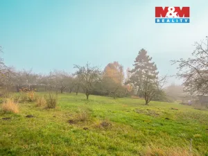 Prodej chalupy, Mohelnice - Studená Loučka, 113 m2