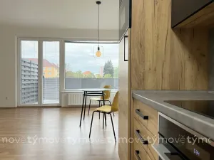 Pronájem bytu 1+kk, Pardubice, Pod Vinicí, 35 m2