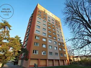 Pronájem bytu 3+1, Brno - Staré Brno, Veletržní, 61 m2