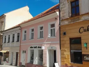 Prodej rodinného domu, Písek, Leoše Janáčka, 417 m2