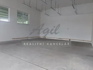 Pronájem skladu, Holubice, 110 m2