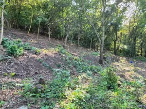 Prodej pozemku pro bydlení, Bílina, 1101 m2