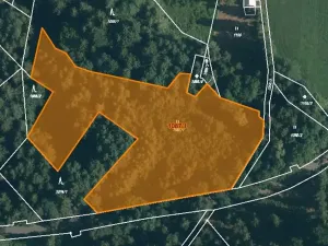 Prodej louky, Kořenov, 10620 m2