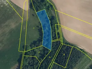 Prodej louky, Sychrov, 4569 m2