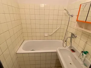 Prodej bytu 2+1, Brno, Plevova, 58 m2