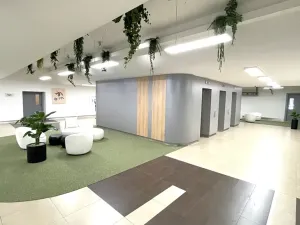Pronájem kanceláře, Praha - Holešovice, Dělnická, 1252 m2