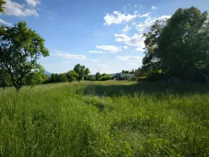 Prodej pozemku pro bydlení, Lovosice, Lhotecká, 9072 m2