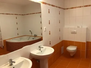 Pronájem bytu 3+kk, Děčín, Kamenná, 98 m2