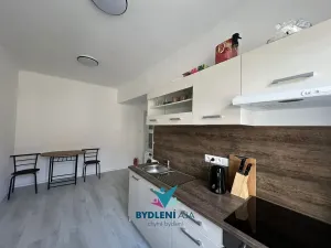 Prodej bytu 1+1, Teplice, 14. října, 42 m2