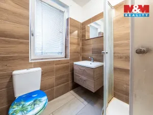 Prodej rodinného domu, Tři Dvory, 250 m2