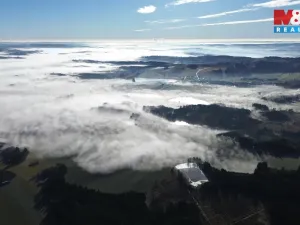 Prodej lesa, Bohdalov, 34642 m2