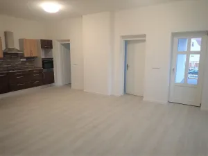 Pronájem bytu 3+kk, Liberec - Liberec III-Jeřáb, Americká, 94 m2