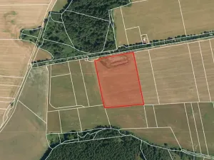 Prodej louky, Herálec, 35197 m2