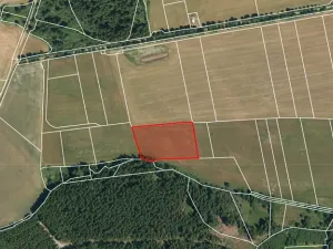 Prodej louky, Herálec, 35197 m2