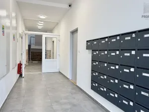 Pronájem bytu 2+kk, Brno, Stavební, 41 m2