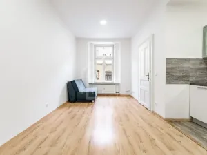 Pronájem bytu 1+1, Praha - Nusle, Oldřichova, 48 m2