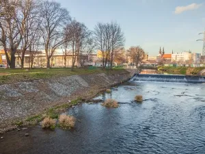 Pronájem bytu 1+kk, Brno, Tomáškova, 35 m2