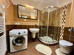 Pronájem bytu 1+kk, Praha - Holešovice, Jankovcova, 43 m2