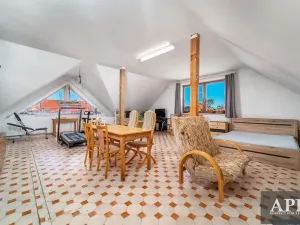 Prodej rodinného domu, Veselí nad Moravou, Zarazická, 266 m2