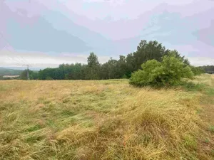 Dražba louky, Nové Sedlo, 49321 m2