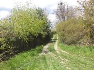 Dražba pozemku, Vítkov, 3225 m2