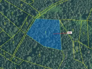 Dražba lesa, Kuřimany, 4807 m2