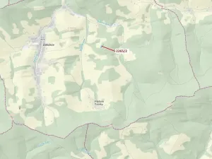 Dražba lesa, Zděchov, 2225 m2