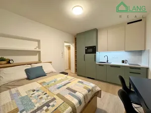 Pronájem bytu 1+kk, Brno, Francouzská, 22 m2