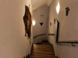 Pronájem restaurace, Olomouc, Riegrova, 500 m2