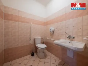 Pronájem restaurace, Olomouc - Nemilany, 600 m2