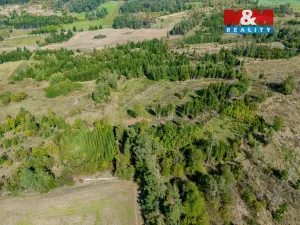 Prodej lesa, Horní Heřmanice, 31116 m2