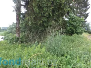 Prodej pozemku, Třebařov, 4992 m2