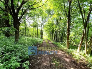 Prodej rodinného domu, Trutnov - Babí, 320 m2