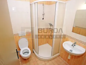 Pronájem bytu 1+kk, Neratovice, 19 m2