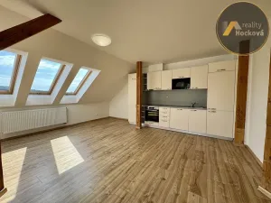 Prodej bytu 1+1, Praha - Libeň, Zenklova, 94 m2