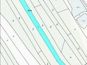 Prodej lesa, Dolní Cerekev, 11509 m2