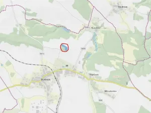 Prodej lesa, Budišov, 11874 m2