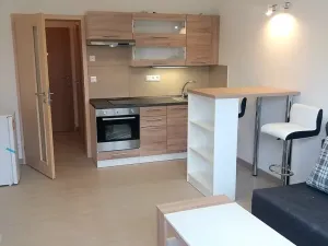Pronájem bytu 1+kk, Brno, Poděbradova, 28 m2