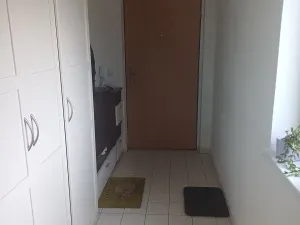 Pronájem bytu 2+kk, Brno, Kosmova, 61 m2