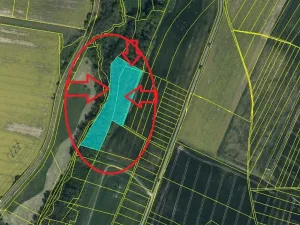 Prodej lesa, Jeníkovice, 12606 m2