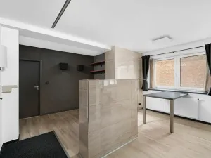 Prodej bytu 3+kk, Bučovice, 104 m2