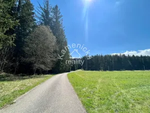Prodej komerčního pozemku, Černá v Pošumaví, 25271 m2