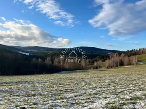 Prodej pozemku pro bydlení, Malšín, 113244 m2