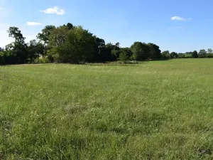 Prodej pozemku pro bydlení, Předslavice, 2846 m2