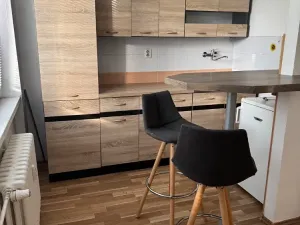 Prodej bytu 1+kk, Ostrava, Heleny Salichové, 27 m2