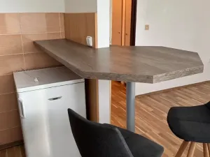 Prodej bytu 1+kk, Ostrava, Heleny Salichové, 27 m2